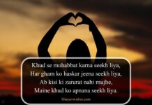 Self Love Shayari in English